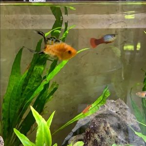 Meet your Posher, Suzanne